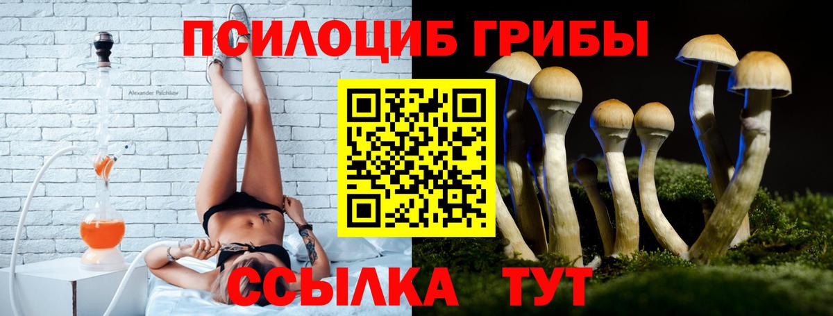 Галлюциногенные грибы Cubensis  Вход с VPN  Зеленодольск 