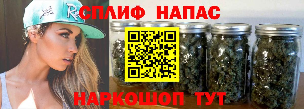 Каннабис сатива Зеленодольск